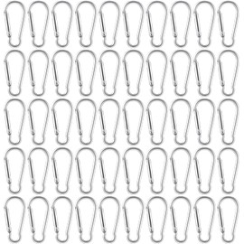 50 piezas Clips Pequeños de Mosquetón Mini Clips de Mosquetón de Aluminio Llavero Paquete de Ganchos a Granel Mosquetón Gancho en Forma de D Llavero para Casa, Senderismo, Plateado
