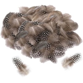 Vimmvid Pack of 200 Guinea Fowl Feathers for Crafts, Quail Eggs Decoration, 2 Different Sizes Feathers, Crafts and Feathers, Brown, Craft Feathers Can Be Used for Wedding Decoration, Egg Decoration