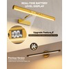Skairipa 13" Rechargeable Picture Light for Wall with Remote, Gold