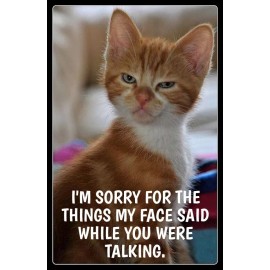 Funny Cat  refrigerator magnet 3 1/2 x 4 1/2"