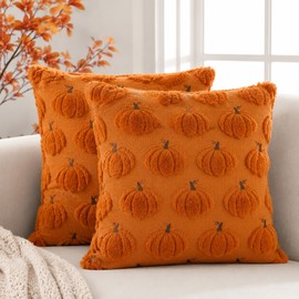 Pumpkin Fall Pillow Covers 18x18In Set of 2 Orange, Ultra Soft