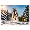 Siberian Huskies - die Extremsportler (Wandkalender 2025 DIN A3 quer),