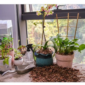 3qt Organic Orchid Potting Bark -Natural Mulch for Potted Plants, Root Development of Orchid Plants and Garden Soil Amendment Mix