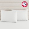 Arm & Hammer Cooling Comfort Zippered Pillow Protector, 2-Pack, King