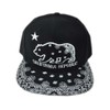 Aesthetinc 3D Embroidered California CA Republic Cali Bear Paisley Bandana