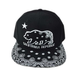 Aesthetinc 3D Embroidered California CA Republic Cali Bear Paisley Bandana Flat Bill Hip Hop Cap Hat Visor (Black)