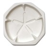 Sand Dollar Casting Mold
