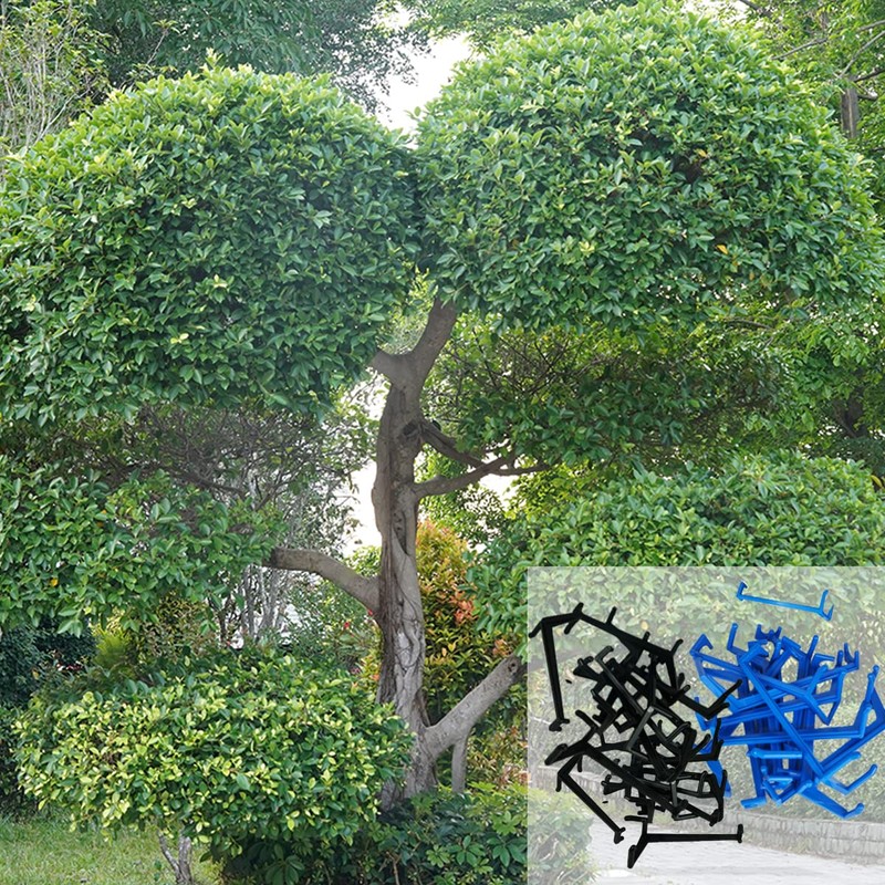 DVECUE Branch Limb Spreaders for Fruit Trees Apple Tree Limb