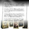 Night Sun Tarot Mini Night Sun Tarot Mini Tarot Divination