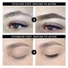 Eyebrow Tint Kit Black Hen-na, Semi-Permanent Professional Brow Tint Kit