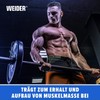 Weider Premium Whey Protein Powder, Rude Delicious Protein Powder with