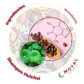 Shampoo Huichol Café Con Gotu Kola Revitalizante 250 Ml