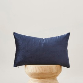 Decorative Small Lumbar Pillow Covers,Cushion Covers Velvet Blue Pillows,Sofa Throw 12 X 20 Pillow Covers