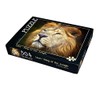 Lion - King of The Jungle 504 Piece Jigsaw Puzzle