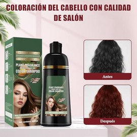 Shampoo Tinte Cubre Canas, Hair Dye Shampoo 3 in 1, Tinte Capilar de Acción Rápida, Suave y no Dañino, Ideal para Hombres y Mujeres, 500ml (rojo vino)