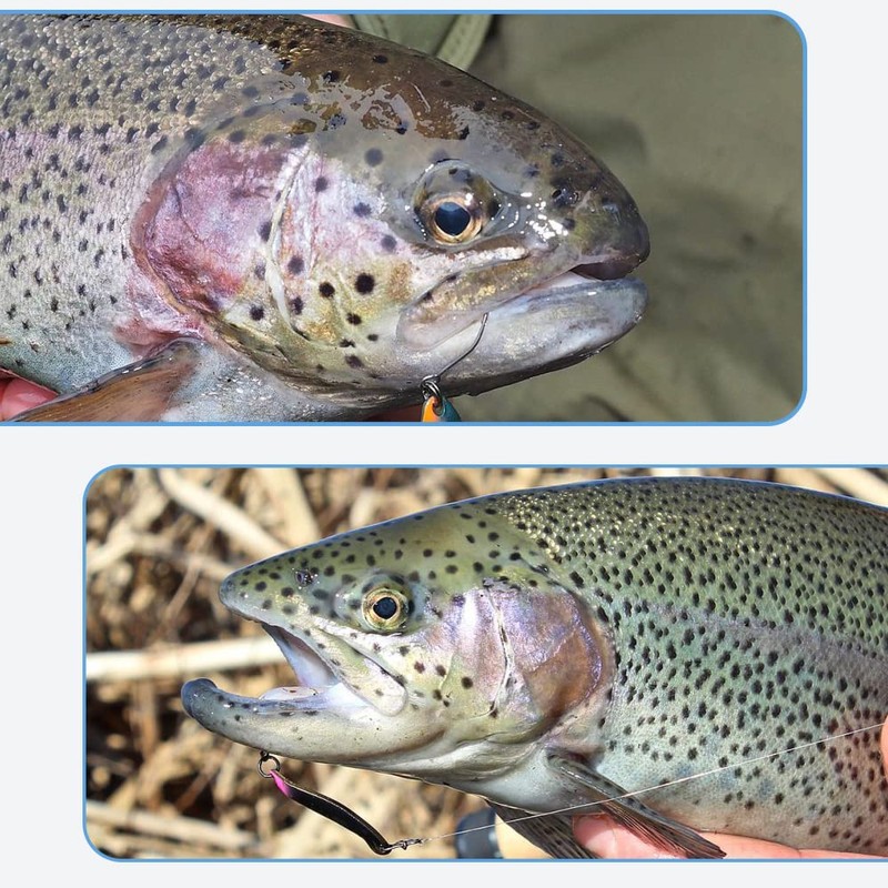 Trout Spoon Set Trout Bait 2.5 g / 3.5 g
