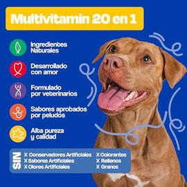 Dogelthy Multivitamin 20 en 1. Suplemento para Perros con con Glucosamina, Complejo B, Aceite de Krill, Vitaminas y Antioxidantes. Complemento para Croquetas o Dieta Barf Sabor Cerdo de 270g