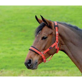 Cottage Craft Horse Headcollar - Padded Head Collar for Horses - Purple - FULL