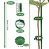 Plant Support, Trellis Aid, Pack of 40 Plant Sticks, Plant