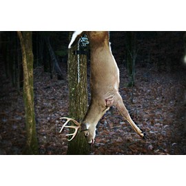 Viking VKSVKH001 Kwik-Hoist Game Hoist with Chain