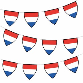 AK Giftshop Netherlands Pennant Flag Bunting Birthday Wedding Events Decorations - 12pcs / 2.5m Ribbon