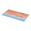 Aquarium Poster PVC Self Adhesive Waterproof 3D Desert Style Fish