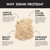 Just Ingredients Protein Powder | Vanilla Protein Powder Made with