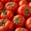 Tomato Seeds - Campbell 33-0.25 Oz ~1,875 Seeds - Solanum