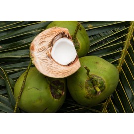 Nook Difference Hair Re Balance Shampoo 500 ml