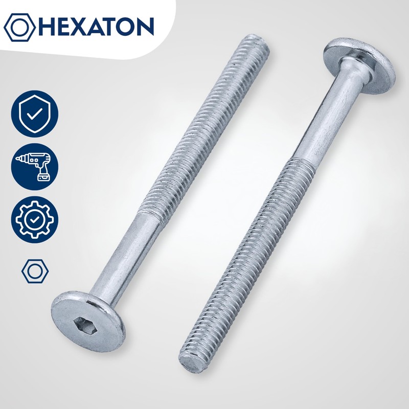 HEXATON M6 x 60mm Hex Socket Pan Head Screws -