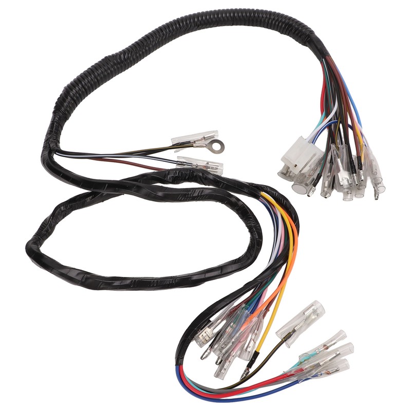 Vehicle Complete Main Electrical Wiring Harness with Connectors Automotive Replacement