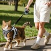 Cat Harness and Lead Set Extendable Retractable Cat Dog Lead