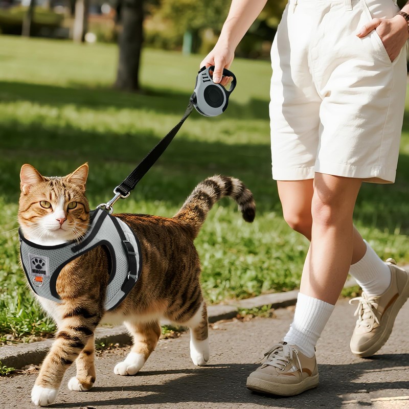 Cat Harness and Lead Set Extendable Retractable Cat Dog Lead