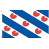 Friesland Flag Outdoor Flag 3x5ft Outdoor Flag
