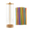 10 Inch Acrylic Straw Dispenser with Bamboo Lid, 100 Colorful