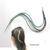 Feather Hair Extension 5 Genuine 8"-10" Turquoise,brown,white & Grizzly Feathers