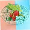 BIUDECO Pcs Strawberry Planting Brackets Plant Climbing Racks for Balcony