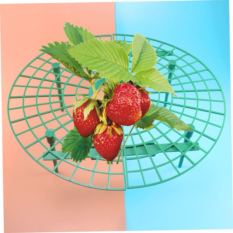 BIUDECO Pcs Strawberry Planting Brackets Plant Climbing Racks for Balcony