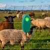 2 Pack Detects Electric Fence Energizer Pulse Flash Signal LED