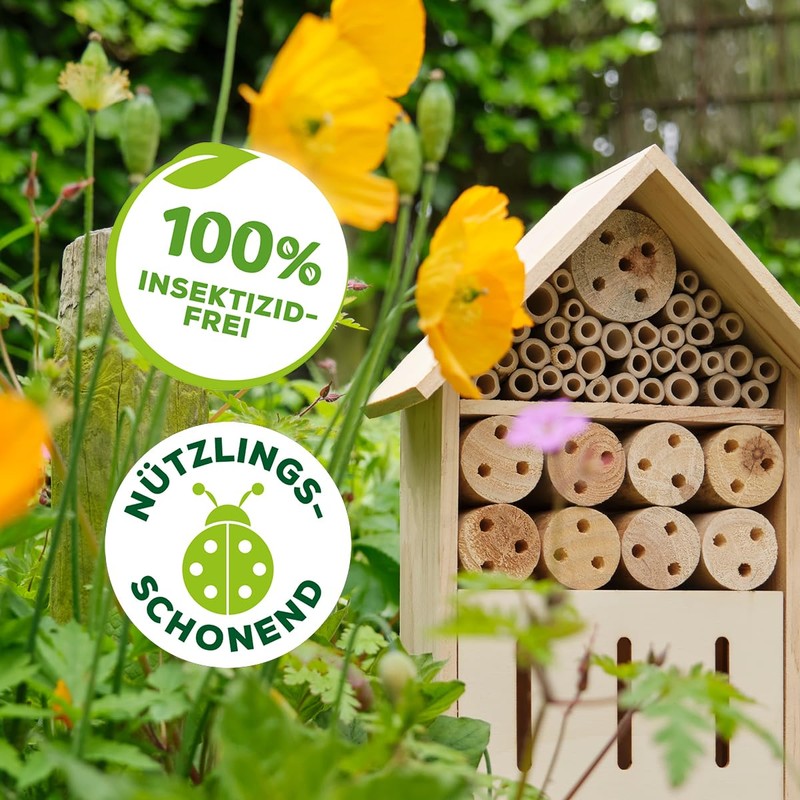 Solabiol Boxwood Moth Trap Refill Pack for Filling Solabiol Boxwood