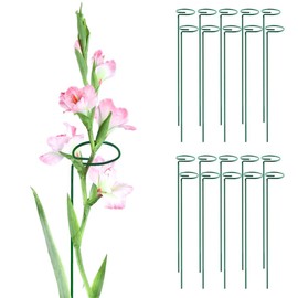 Green 24 inch Single Stem Plant Stakes Flower Support Rings, Pack of 20,Gardening Planter Cages for Single Stem Flowers, Amaryllis, Peony, Lily,Narcissus