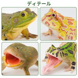 Toymany Frog Figure Set, Animal Figure, Realistic Animal Toy, Frog Model, Figurine, Ornament, Scene Collection, Birthday Gift, For Ages 6 and Up