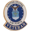 EagleEmblems United States Air Force Veteran Logo Emblem Lapel /