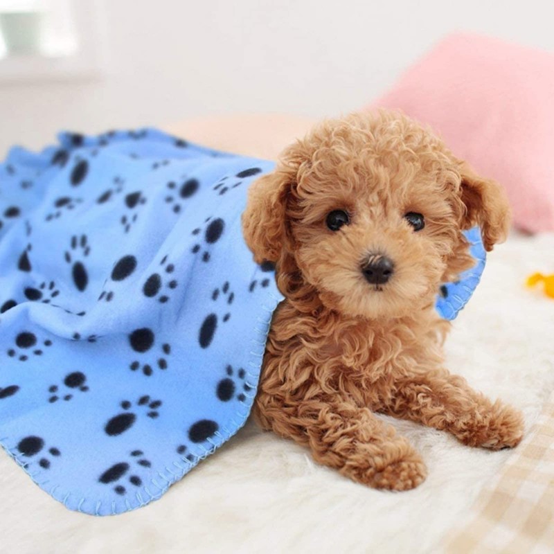 Aliangting 6Pcs Pet Blanket for Small Dogs Cats Soft Warm