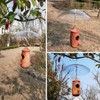 8" Mini Rain Cover for Bird Feeder/House - Clear Small