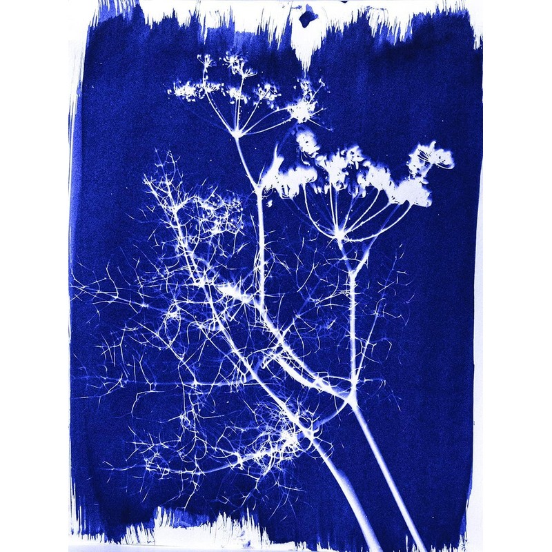 Jacquard Cyanotype Sensitizer Set