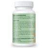 CaelumCore Liposomal Berberine HCL - Berberine 1500mg High Bioavailability, Berberines