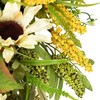 Northlight 24" Beige Sunflowers Artificial Fall Harvest Wreath