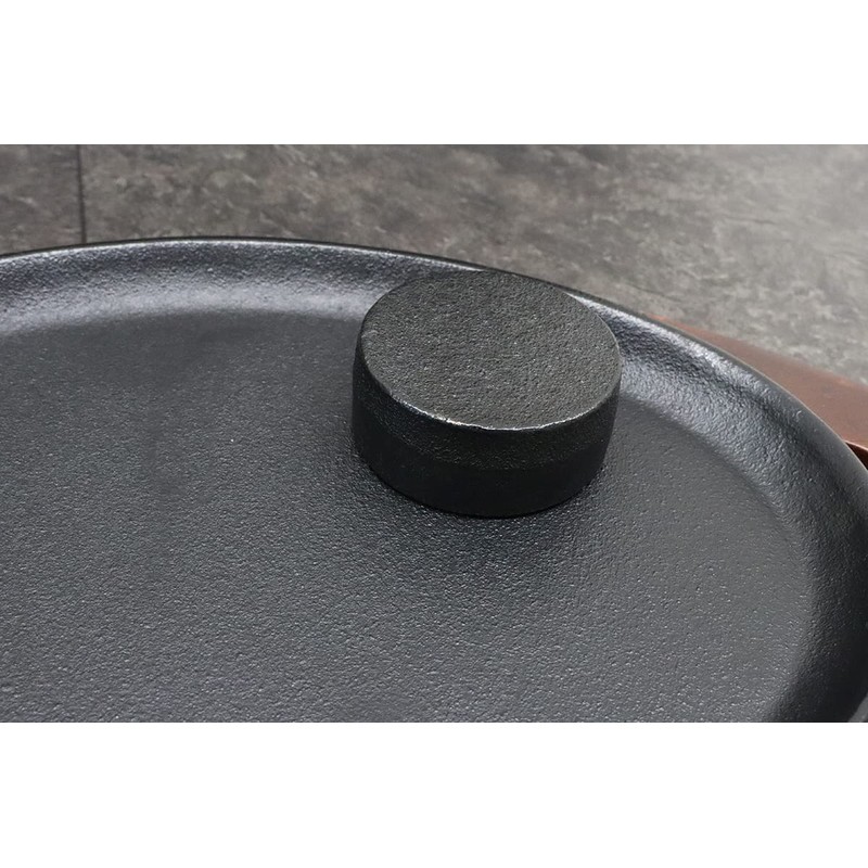 Asahi Cast Iron Pellet (Small) Size: Diameter 2.2 x Height