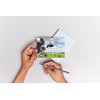 Edition Colibri Funny Cows 2 Postcards (10529)